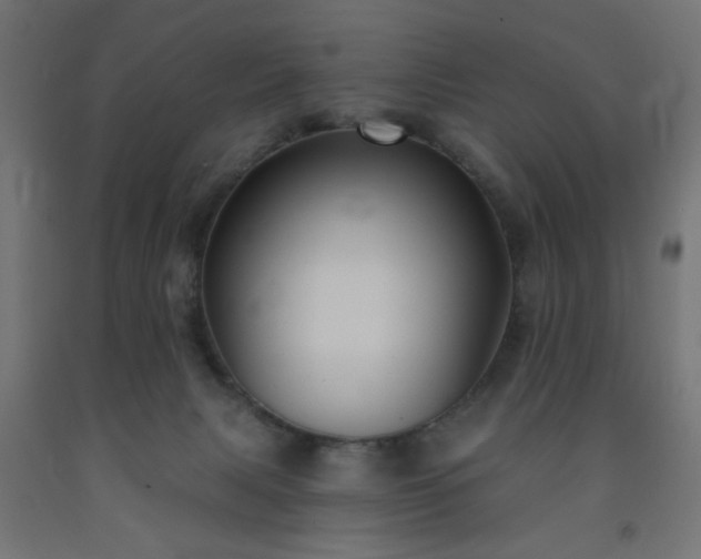 X0000093250079200710031613