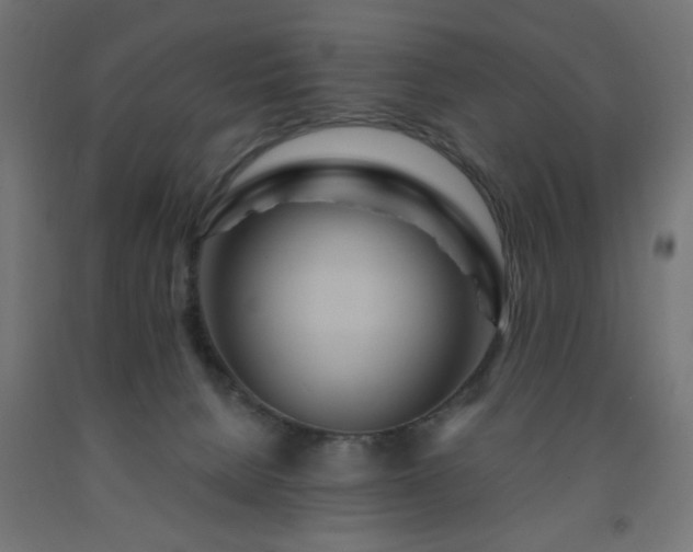 X0000093250080200710031613