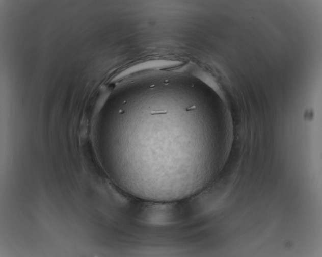 X0000093250081200710031613