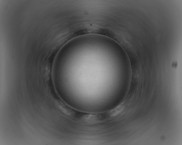 X0000093250082200710031613