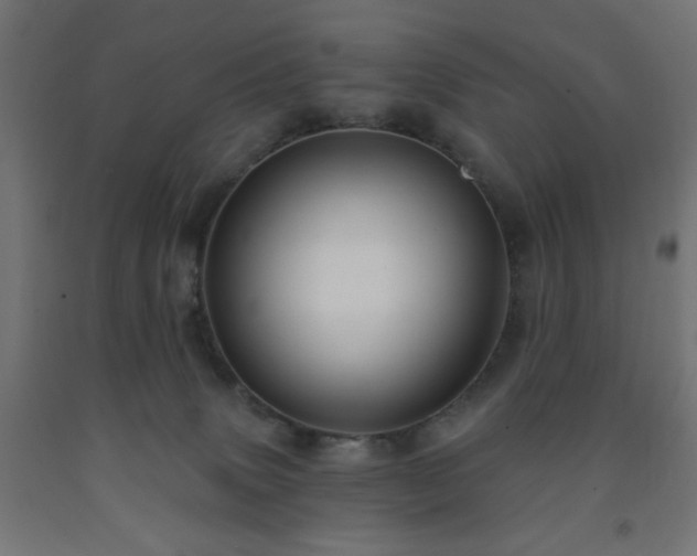 X0000093250083200710031613