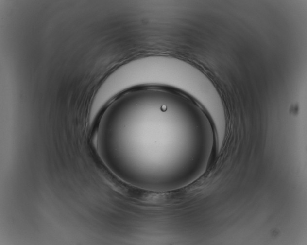 X0000093250084200710031613