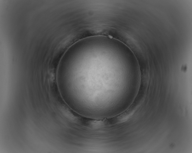 X0000093250085200710031613