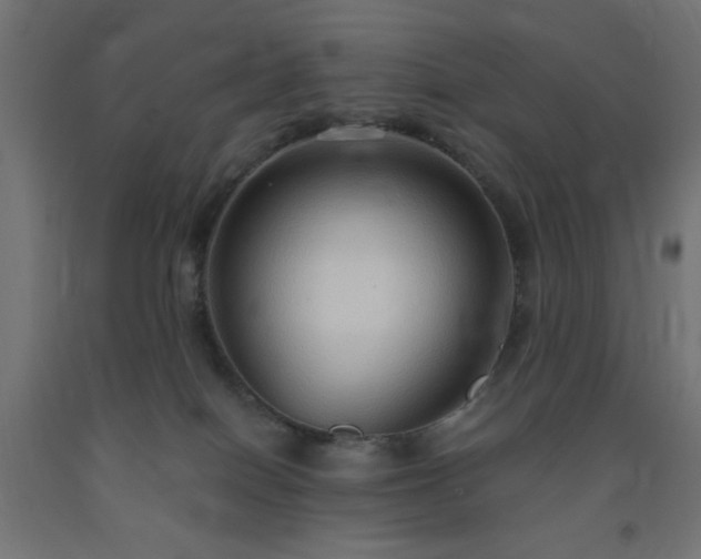 X0000093250086200710031613