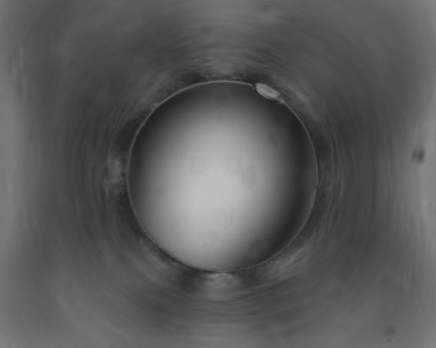 X0000093250087200710031613