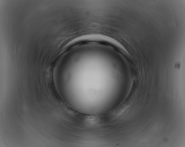 X0000093250088200710031613