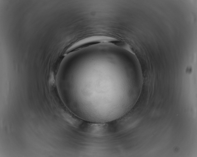 X0000093250089200710031613