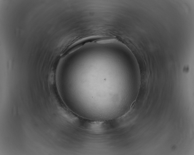 X0000093250090200710031613