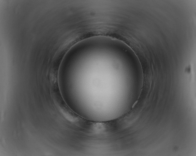 X0000093250091200710031613