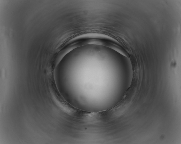 X0000093250092200710031613