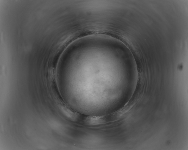 X0000093250093200710031613