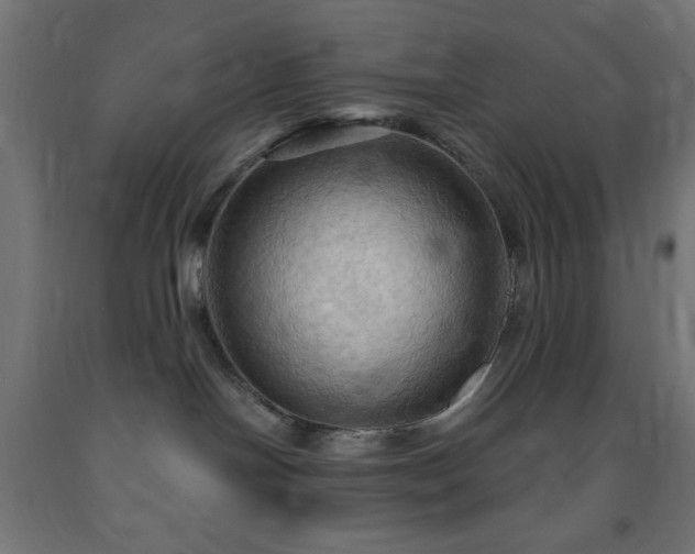 X0000093250094200710031613