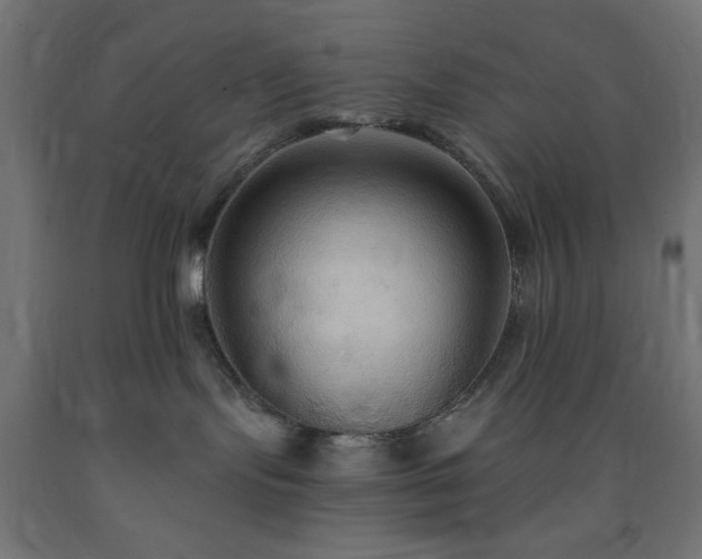 X0000093250095200710031613