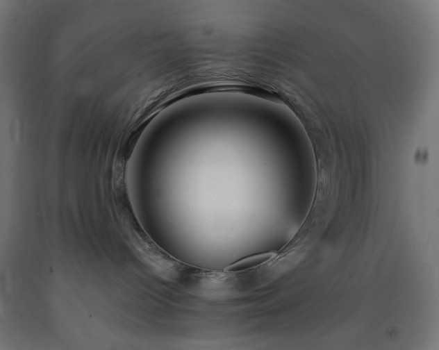 X0000093250096200710031613