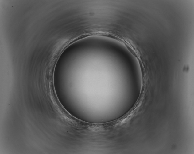 X0000093250097200710031612