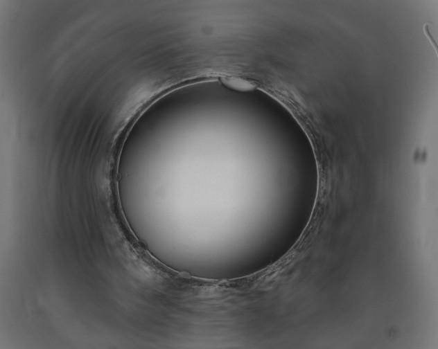 X0000093250098200710031612