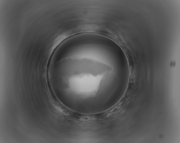 X0000093250099200710031612