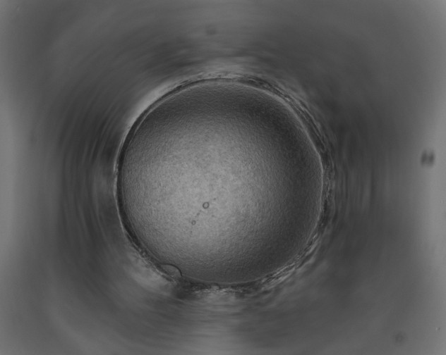 X0000093250100200710031612