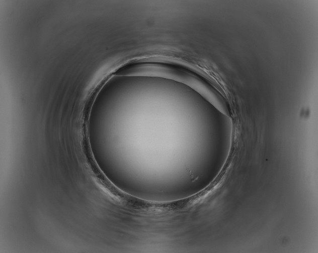 X0000093250101200710031612