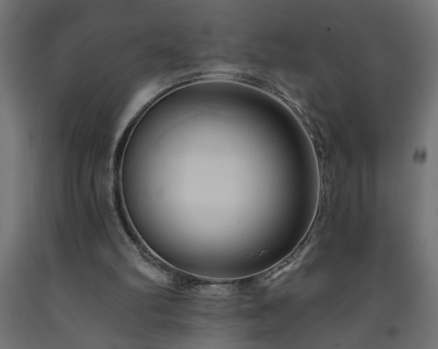 X0000093250102200710031612