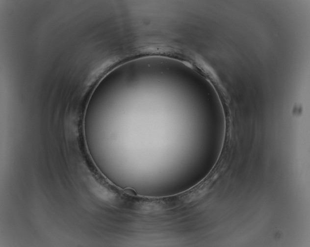 X0000093250106200710031612