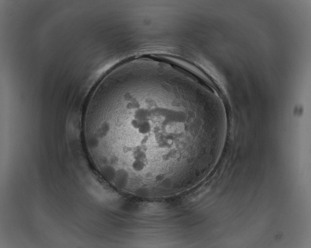 X0000093250107200710031612