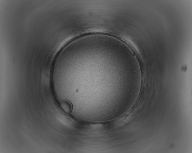 X0000093250108200710031612