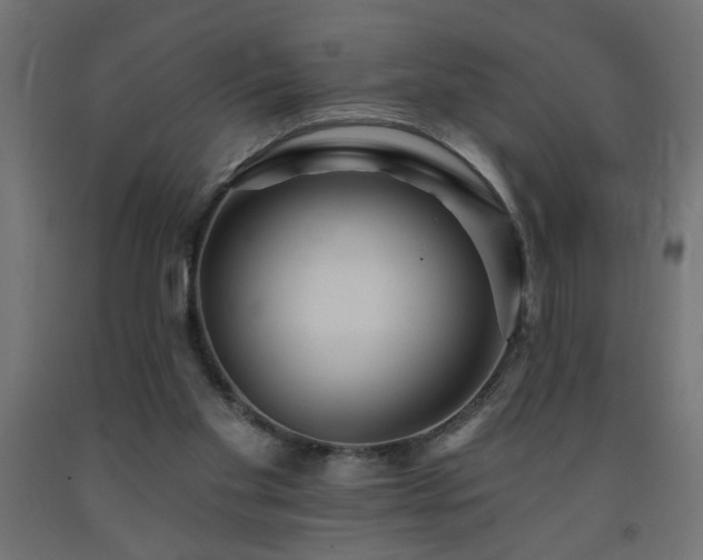 X0000093250109200710031612