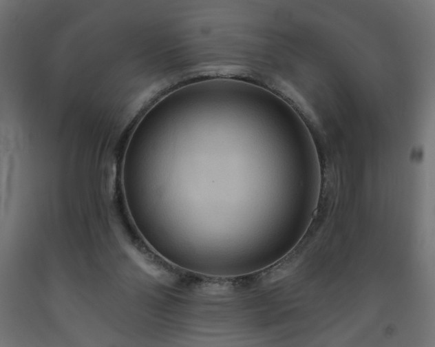 X0000093250110200710031612