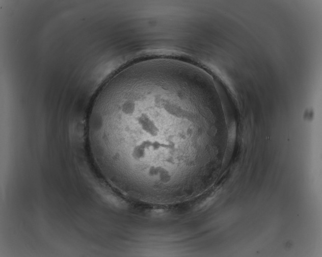 X0000093250111200710031612