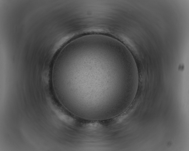 X0000093250112200710031612