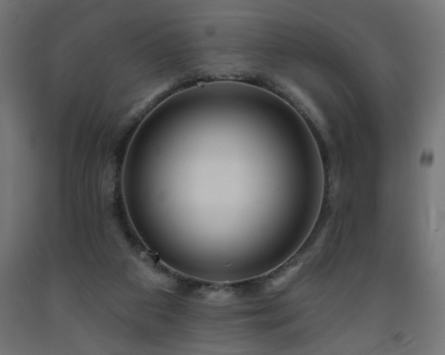 X0000093250113200710031612