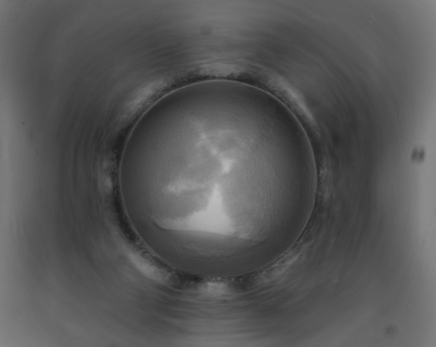 X0000093250114200710031612