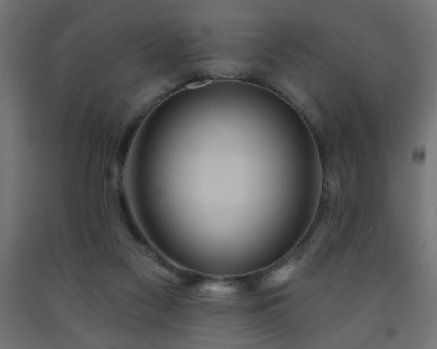 X0000093250117200710031612