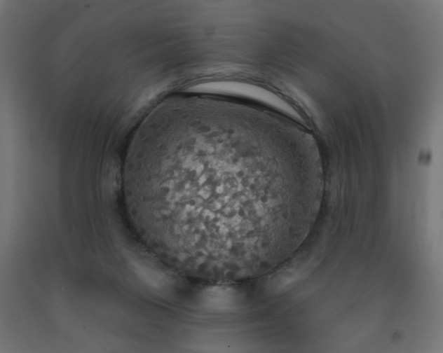 X0000093250119200710031612