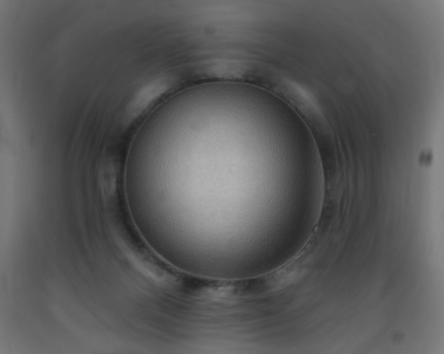 X0000093250120200710031612