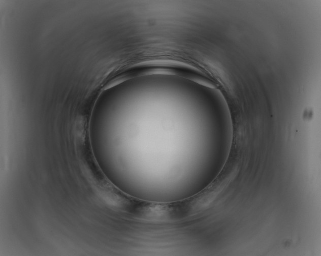 X0000093250121200710031612