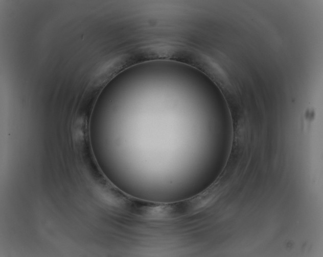 X0000093250122200710031612