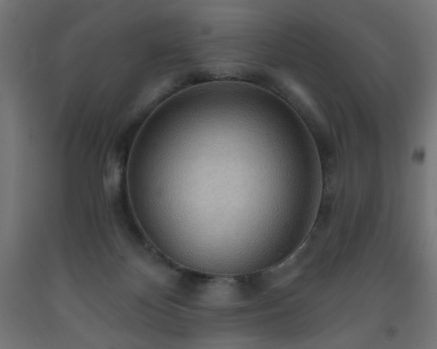 X0000093250124200710031612