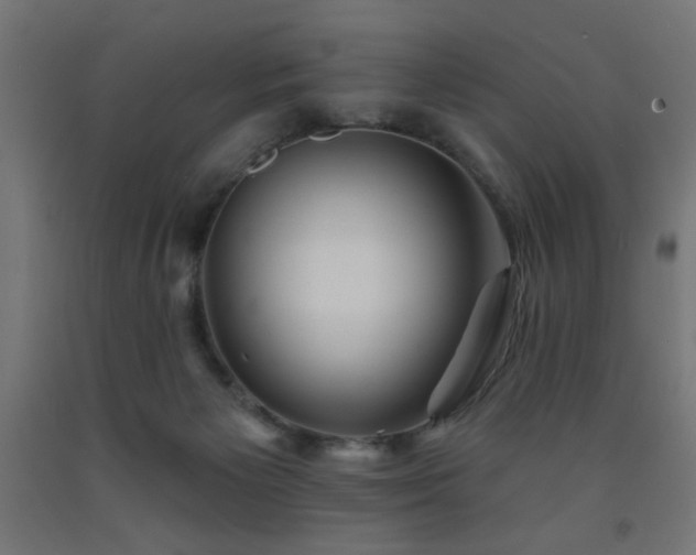 X0000093250125200710031612