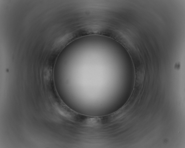 X0000093250126200710031612