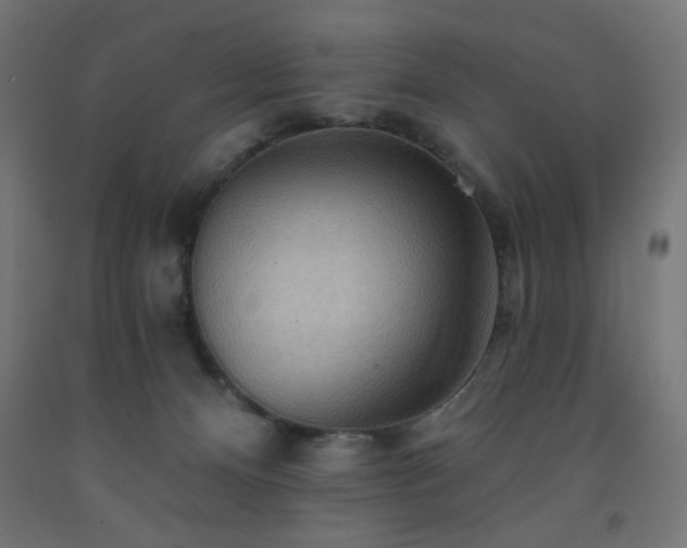 X0000093250128200710031612