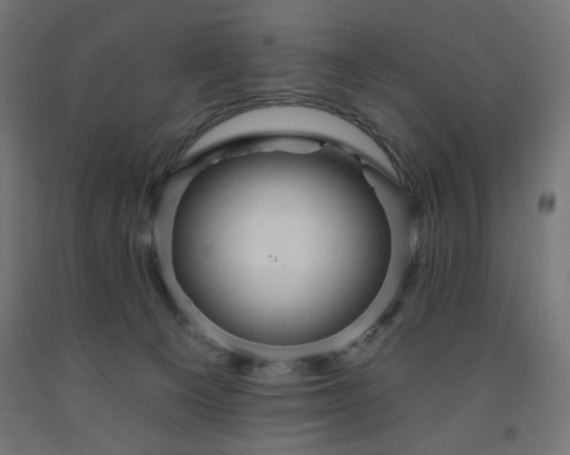 X0000093250129200710031612