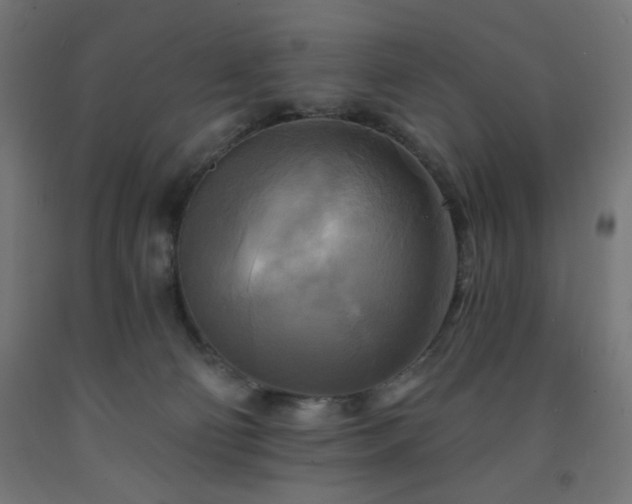 X0000093250130200710031612