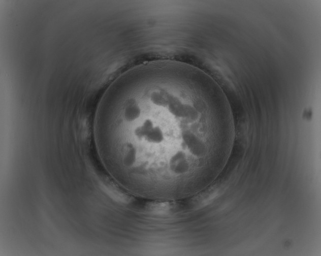 X0000093250131200710031612