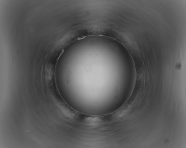 X0000093250133200710031612