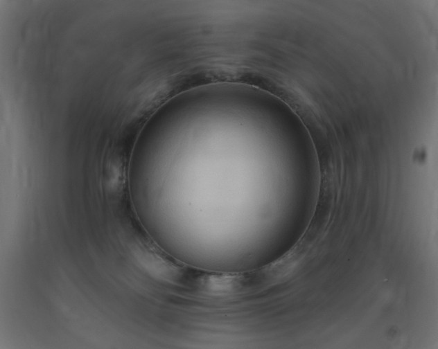 X0000093250134200710031612