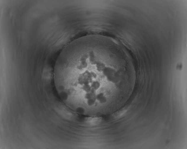 X0000093250135200710031612