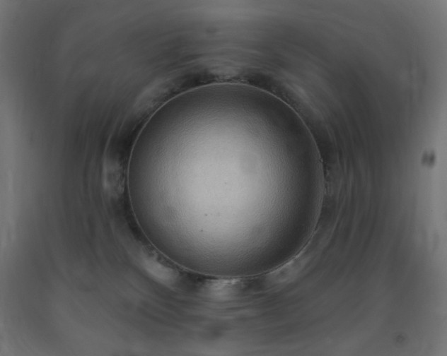 X0000093250136200710031612