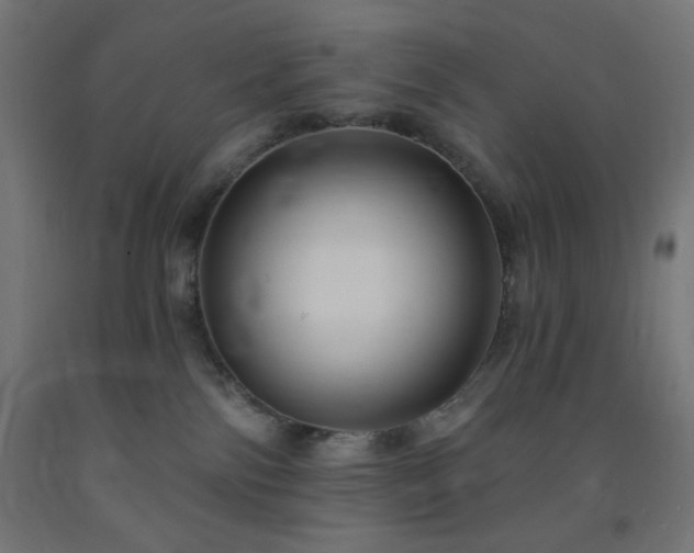 X0000093250138200710031612